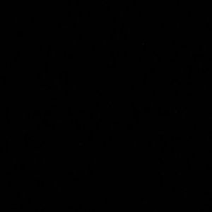 Meet your Posher, Ruth